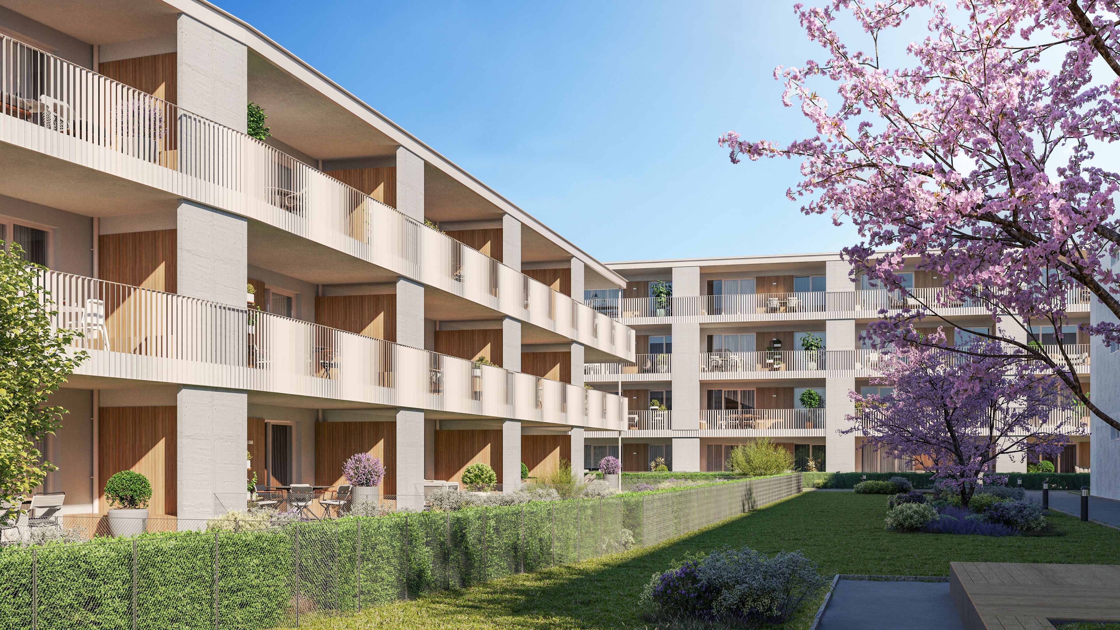 Moderne Mehrfamilienhäuser mit bewachsenem Innenhof