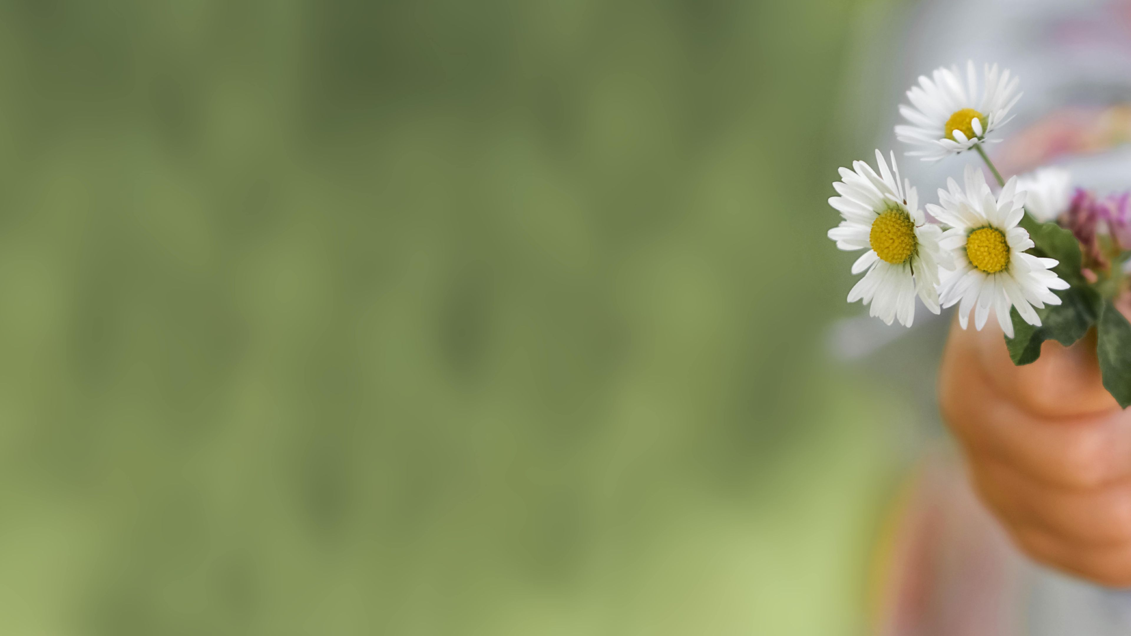 Kind mit Blumen in der Hand